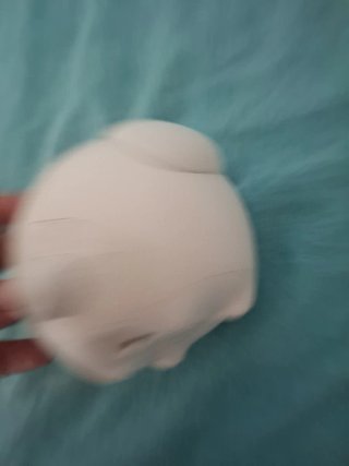 Cámara de seguridad para mascotas