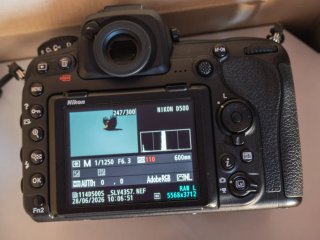 Nikon D500 Pocos Disparos