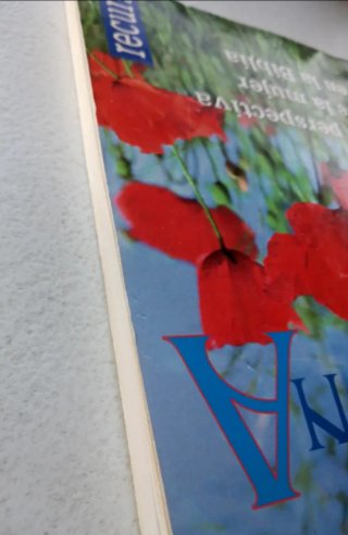 Mi perspectiva de la mujer en la Biblia.