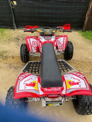 Gas Gas Wild 300 reverse