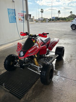 Gas Gas Wild 300 reverse