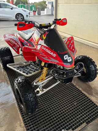 Gas Gas Wild 300 reverse