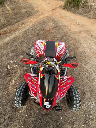 Gas Gas Wild 300 reverse