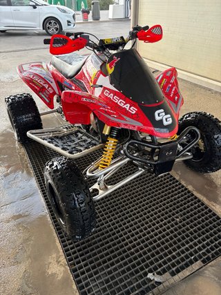 Gas Gas Wild 300 reverse