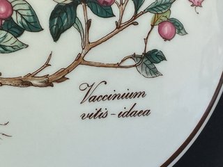 🇩🇪 Villeroy & Boch Caja Joyero Floral