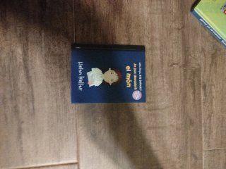 libro ablando de helen keller