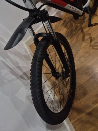 Bicicleta Eléctrica E-ST 100