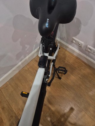 Bicicleta Eléctrica E-ST 100