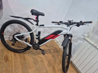 Bicicleta Eléctrica E-ST 100