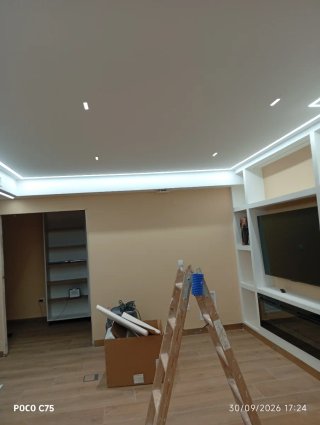 Servicios de Pintura Profesional