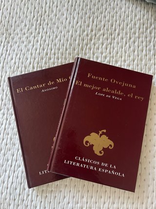 Clásicos dd la Literatura Española.