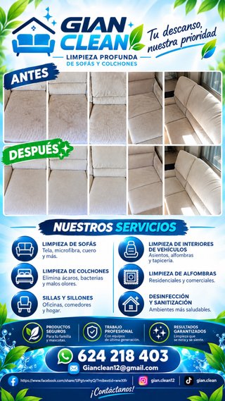 Limpieza de sofa y colchones.