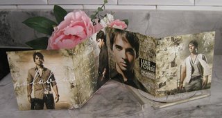 CD Luis Fonsi Palabras del Silencio 2008