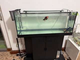 Pecera de cristal y plástico