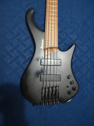 Bajo Eléctrico Ibanez EHB 1005