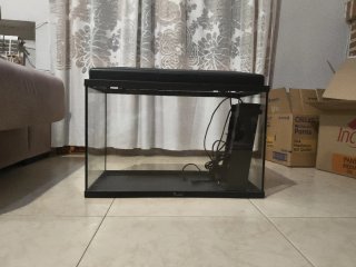 Pecera de cristal con tapa negra