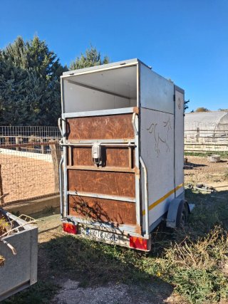 Remolque van caballo 750kg