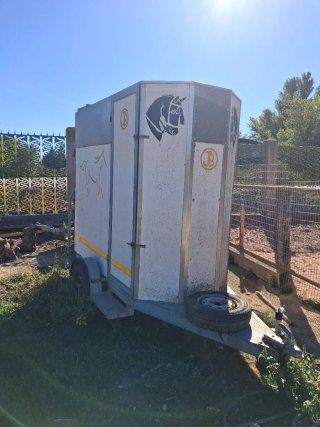 Remolque van caballo 750kg
