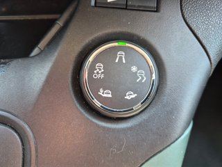 Citroen Berlingo 2019 XL - XTR - SHINE