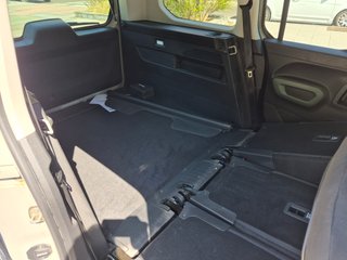 Citroen Berlingo 2019 XL - XTR - SHINE