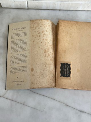 Livro Um dia fora do mundo - Luis Cajão - Romance