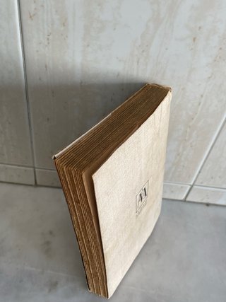 Livro Um dia fora do mundo - Luis Cajão - Romance