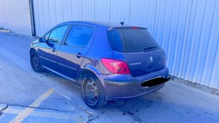 Peugeot 307 2002