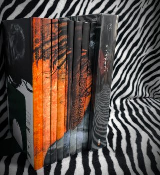 Sandman COMPLETA Tomos 1 al 8 ecc + Tomo 5 Deluxe