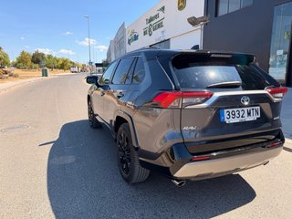 Toyota RAV4 2024