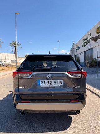 Toyota RAV4 2024
