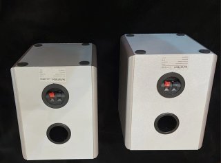 Altavoces Sunstech LCX-UM300 2 vías