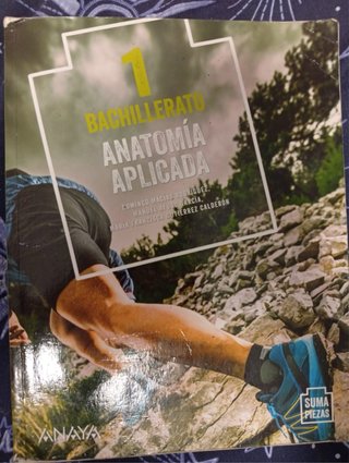 Libros bachillerato de arte