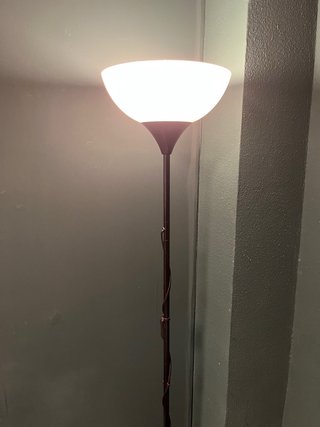 Lámpara de pie negra luz cálida bombilla incluida