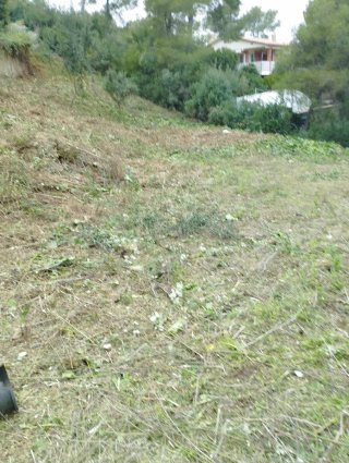 Jardinera y desbroce