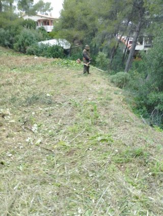 Jardinera y desbroce