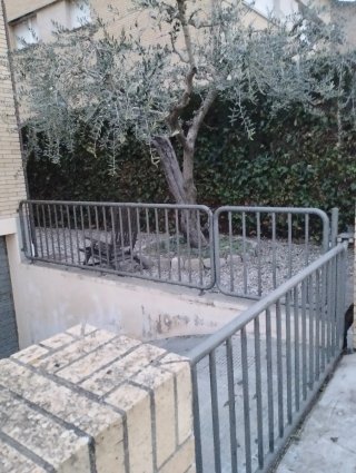 Jardinera y desbroce