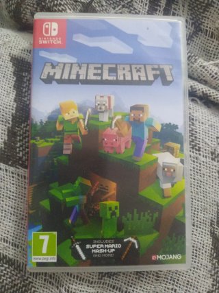 Minecraft Nintendo Switch