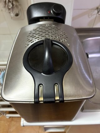 Freidora Tefal F33