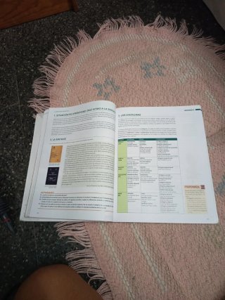 Lengua Castellana y Literatura, 2 Bach, Proyect...