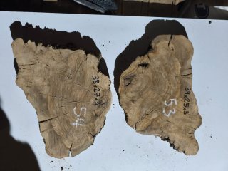 Tablas de olivo 3cm grosor