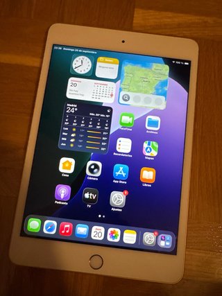 iPad mini 5.ª Gen Wi-Fi 64GB Oro