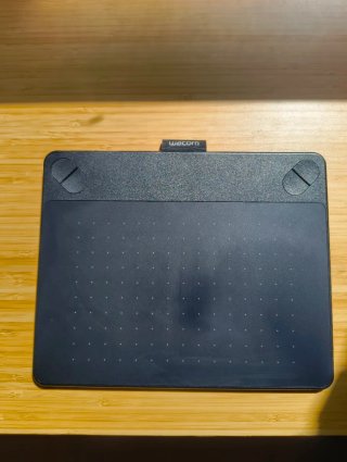 Tableta Gráfica Wacom Intuos CTH-490