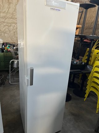 Congelador vertical Balay