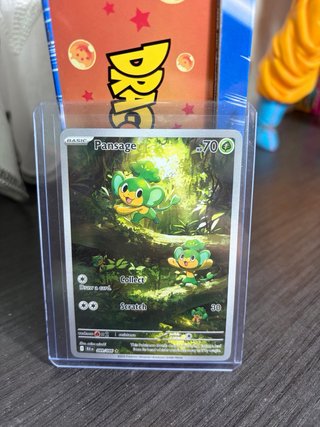 Carte Pokémon