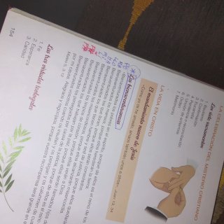 Libro de Catequesis Catecismo  Jesús es el Señor