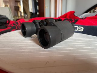 Olympus 8x40 DPS Binoculares