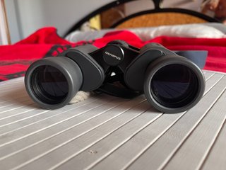 Olympus 8x40 DPS Binoculares