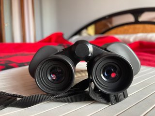 Olympus 8x40 DPS Binoculares