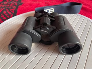 Olympus 8x40 DPS Binoculares