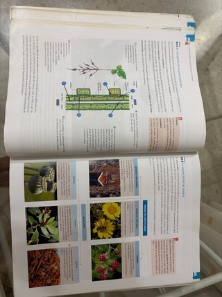 Biología y geología, ciencias, Bachillerato 1